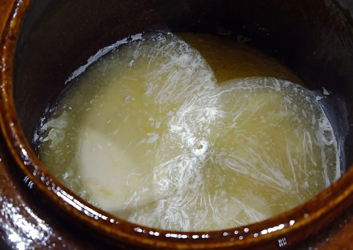 A white film of kahm yeast on sauerkraut brine in a stoneware crock